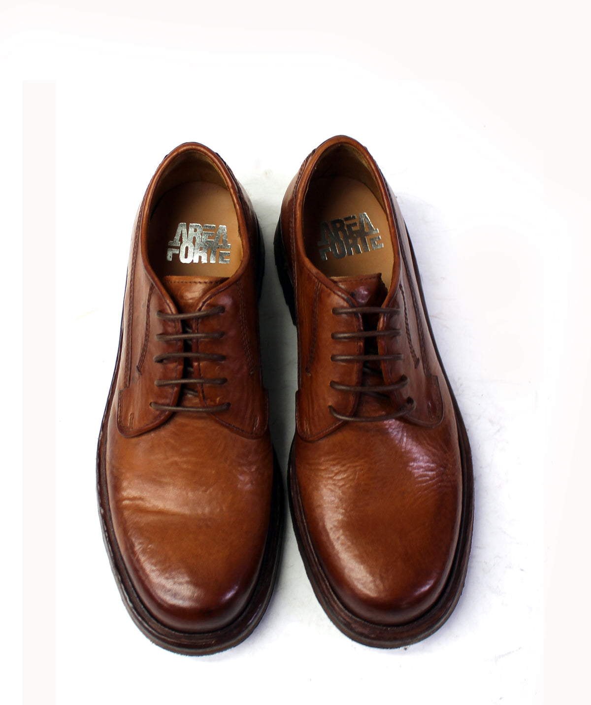 Shark Derby Shoes