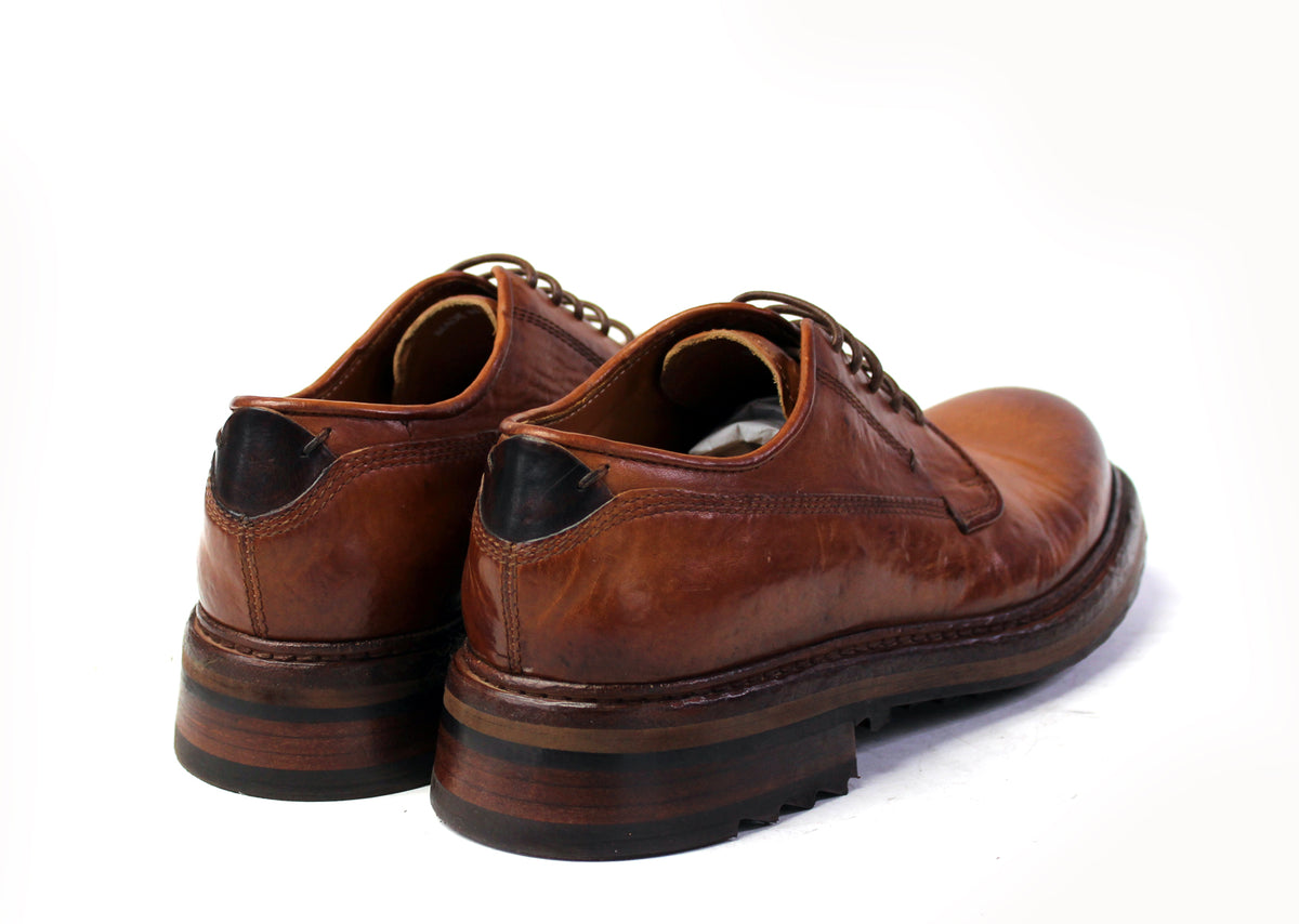 Shark Derby Shoes